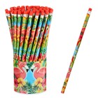 Карандаш простой, чернографитный с ластиком «Фламинго», твёрдость НВ - Фото 2