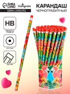 Карандаш простой, чернографитный с ластиком «Фламинго», твёрдость НВ - Фото 1