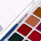 Акварель 21 цвет «Гамма» «Классическая», медовая, с кистью, пластик - Фото 7