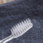 Зубной набор в Эконом: зубная щетка 17 см, зубная паста, 3 г - Фото 5