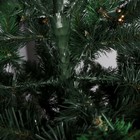 Искусственная ёлка «Рождественская», 220 см, d нижнего яруса 110 см, 700 веток - Фото 3