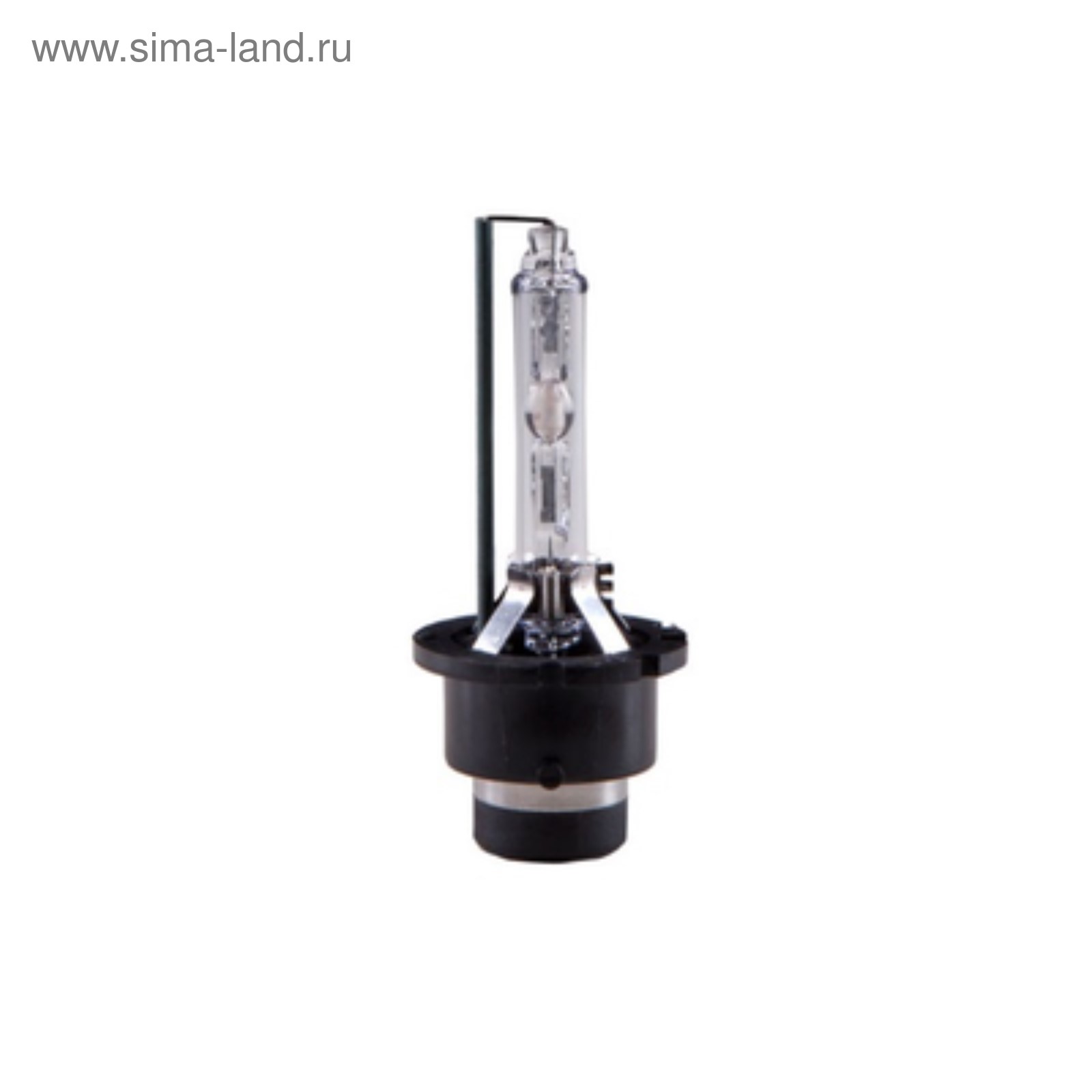 D4s Ксеноновая Лампа Купить