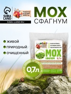 Мох сфагнум «Рецепты Дедушки Никиты» 0.7 л - Фото 1