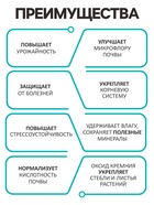 Диатомит «Рецепты Дедушки Никиты» сушеный, фр 2-4, 3 л - Фото 2
