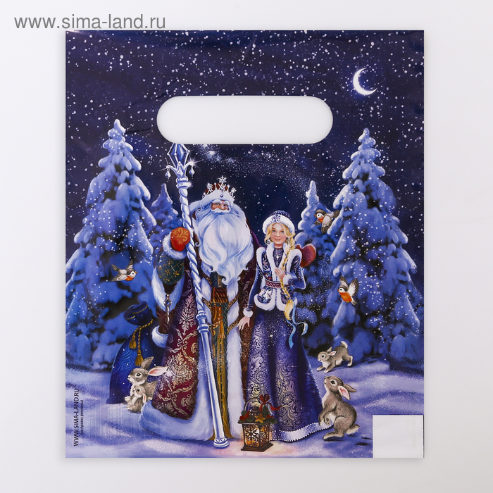 Пакет «Холодок», полиэтиленовый с вырубной ручкой, 17 х 20 см, 30 мкм - Фото 1