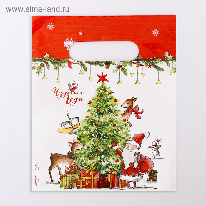 Пакет «Праздник», полиэтиленовый с вырубной ручкой, 22,5 х 29,5 см, 30 мкм - Фото 1