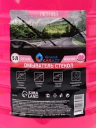 Омыватель стёкол Grand Caratt летний, Bubble Spray, 5 л - Фото 4