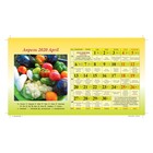 Календарь настольный, домик "Садово-огородный" 2020 год, 20 х 14 см - Фото 6