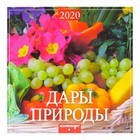 Календарь на скрепке "Дары природы " 2020 год, 28,5 х 28,5 см - Фото 1