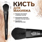 Кисть для макияжа «Premium Brush», 12,5 (+/- 1) см, цвет чёрный - фото 2996417