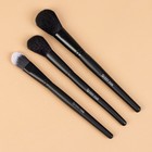 Набор кистей для макияжа «Premium Brush», 3 предмета в чехле, цвет чёрный - Фото 1