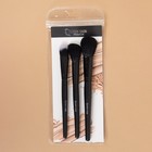 Набор кистей для макияжа «Premium Brush», 3 предмета в чехле, цвет чёрный - Фото 3