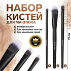 Набор кистей для макияжа «Premium Brush», 3 предмета, PVC - чехол, цвет чёрный - фото 320185703