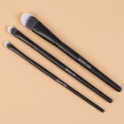 Набор кистей для макияжа «Premium Brush», 3 предмета, PVC - чехол, цвет чёрный - Фото 2