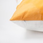 Наволочка декоративная «Этель» Aurora 40×40 см, 100% п/э, велюр - Фото 3