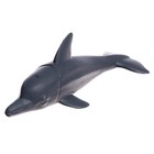 Набор морских животных «Подводный мир», 6 фигурок - фото 9165765