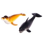 Набор морских животных «Подводный мир», 6 фигурок - фото 9165768