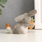 Сувенир полистоун миниатюра "Зайка с морковкой с птичкой на хвосте" 5х4,5х6,5 см - Фото 3