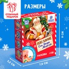 Раскопки «Послание от Деда Мороза» бутылочка, камни - Фото 5