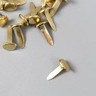 Брадсы для творчества металл "Золотые" набор 15 шт 1,5 см 15,5х8,8х2 см - Фото 2
