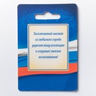 Магнит в форме ордена «Владивосток. Триумфальная арка» - Фото 3