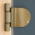 Дверь для бани и сауны, размер коробки 190 × 70 см, 6 мм, 2 петли, цвет сатин - Фото 3