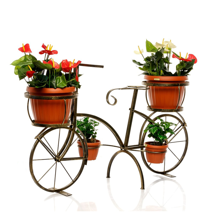 Садовый велосипед 53-605 - фото 1907018926
