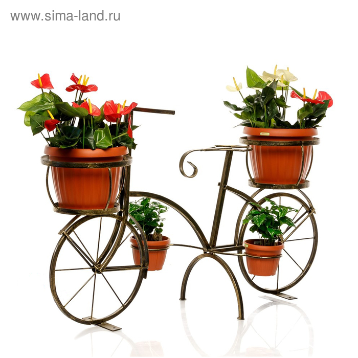 Садовый велосипед 53-605 - Фото 1