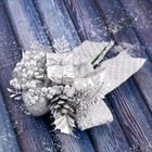 Декор "Зимняя сказка" шишка листья лента, 15 см, серебро - фото 319981723