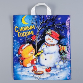 Пакет «Вечерок», полиэтиленовый с петлевой ручкой 38?42 см (комплект 25 шт)