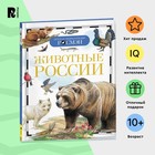 Детская энциклопедия «Животные России» - фото 9299424