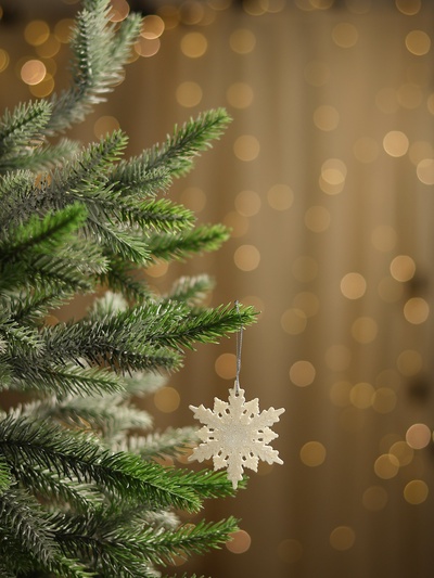 Ёлочные игрушки набор 3 шт. «Зимнее волшебство. Снежинка - морозный блеск», d=6 см, белый