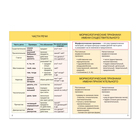 Шпаргалка «Русский язык. Части речи», 16 стр., 5-9 класс - Фото 2