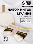Нитки мулине №11/12, 8±1 м, набор 12 шт., разноцветные - Фото 1