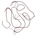 Прикол «Колючая проволока», 2.5 м - Фото 3