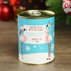 Копилка-банка металл "Улётного года" 7,3х9,5 см - фото 24547224