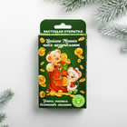 Открытка с растущей травой «Веселые мышки» - Фото 2