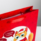 Пакет ламинированный вертикальный «Скорее открывай», M 26 × 30 × 9 см - Фото 3