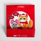 Пакет ламинированный вертикальный «Скорее открывай», M 26 × 30 × 9 см - Фото 4