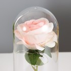 Ночник колба "Розовая роза" LED 3ААА 10х10х20 см - Фото 5