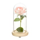 Ночник колба "Розовая роза" LED 3ААА 10х10х20 см - Фото 8