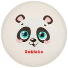 Мяч детский ZABIAKA, d=22 см, 60 г, цвет МИКС - фото 8477581