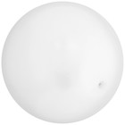 Мяч детский ZABIAKA, d=22 см, 60 г, цвет МИКС - фото 3837596