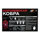 Змея радиоуправляемая «Королевская кобра», работает от аккумулятора - фото 4855436