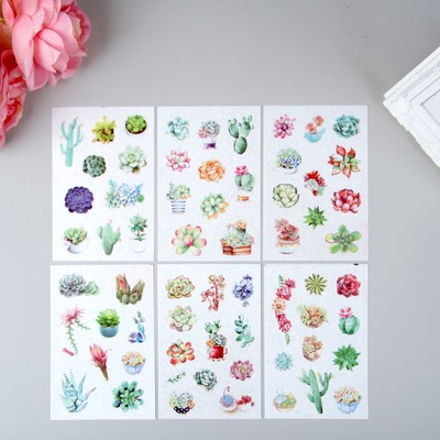 Наклейка пластик "Суккуленты" набор 6 листов 15х10 см