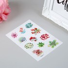 Наклейка пластик "Суккуленты" набор 6 листов 15х10 см - Фото 2