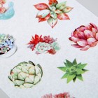 Наклейка пластик "Суккуленты" набор 6 листов 15х10 см - Фото 3