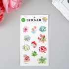 Наклейка пластик "Суккуленты" набор 6 листов 15х10 см - Фото 4