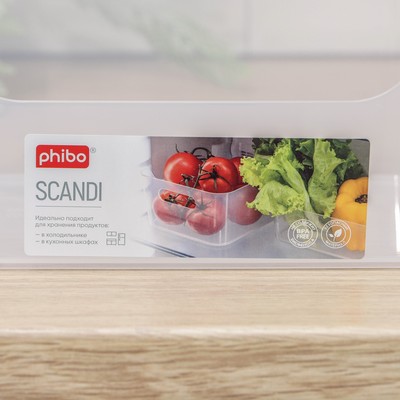 Ящик для хранения без крышки Scandi, 3.1 л, 24×17×9 см, прозрачный