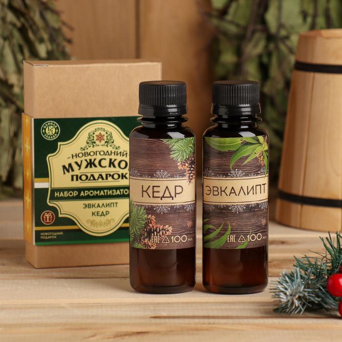Новогодний набор ароматизаторов «Мужской подарок», кедр, эвкалипт, 2 шт. по 100 мл - Фото 1